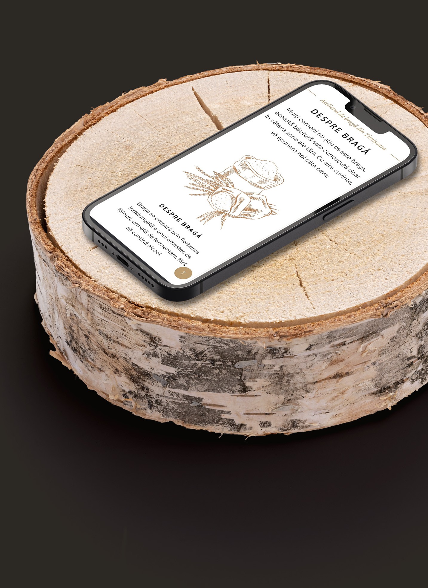 Aks Art, servicii complete de design grafic